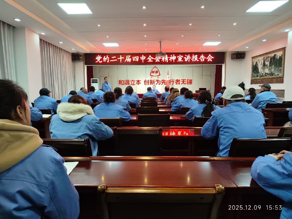 红山公司召开学习贯彻 党的二十届四中全会精神宣讲报告会