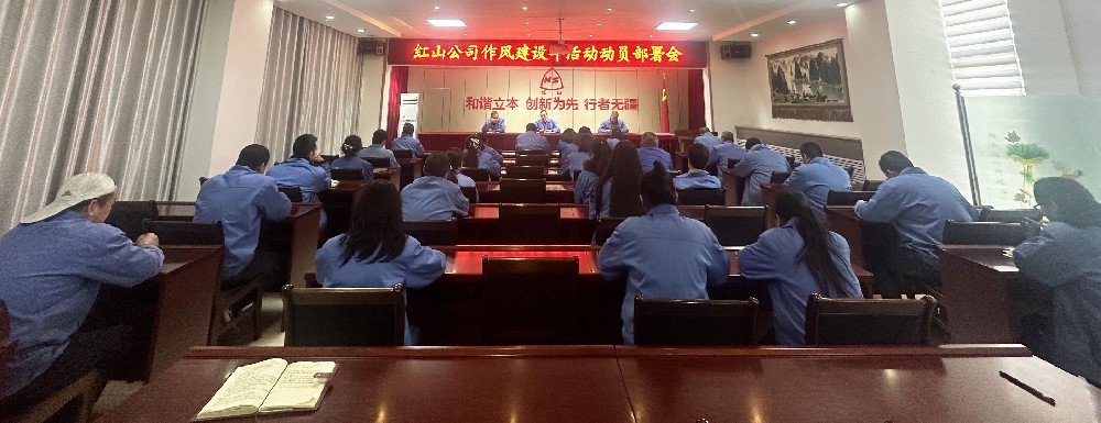 红山公司召开作风建设年活动安排部署会